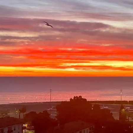 Votre Cocon Nicois *